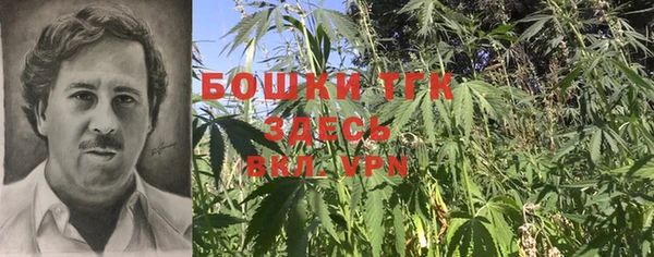 спиды Арсеньев