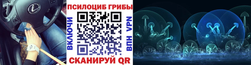 Галлюциногенные грибы Cubensis Валдай