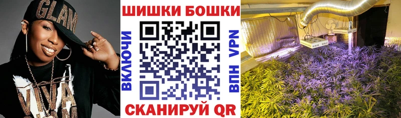 где можно купить   Валдай  Конопля план 